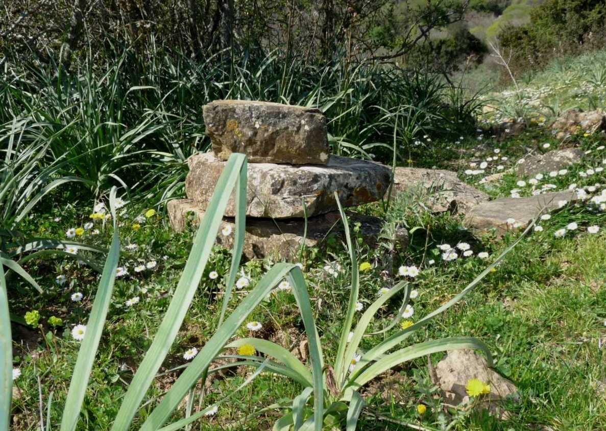 Bozzoli vuoti (e non) sotto le pietre: Chilosphex argyrius